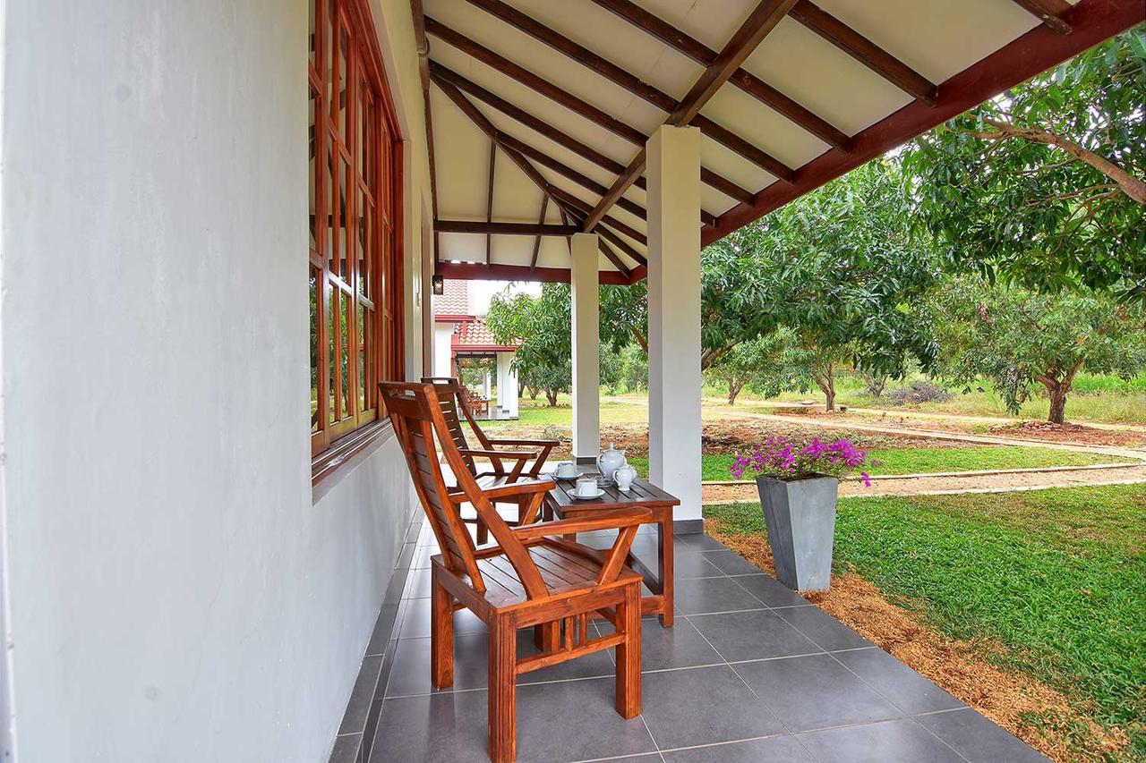 Dambulla Hills Resort Экстерьер фото