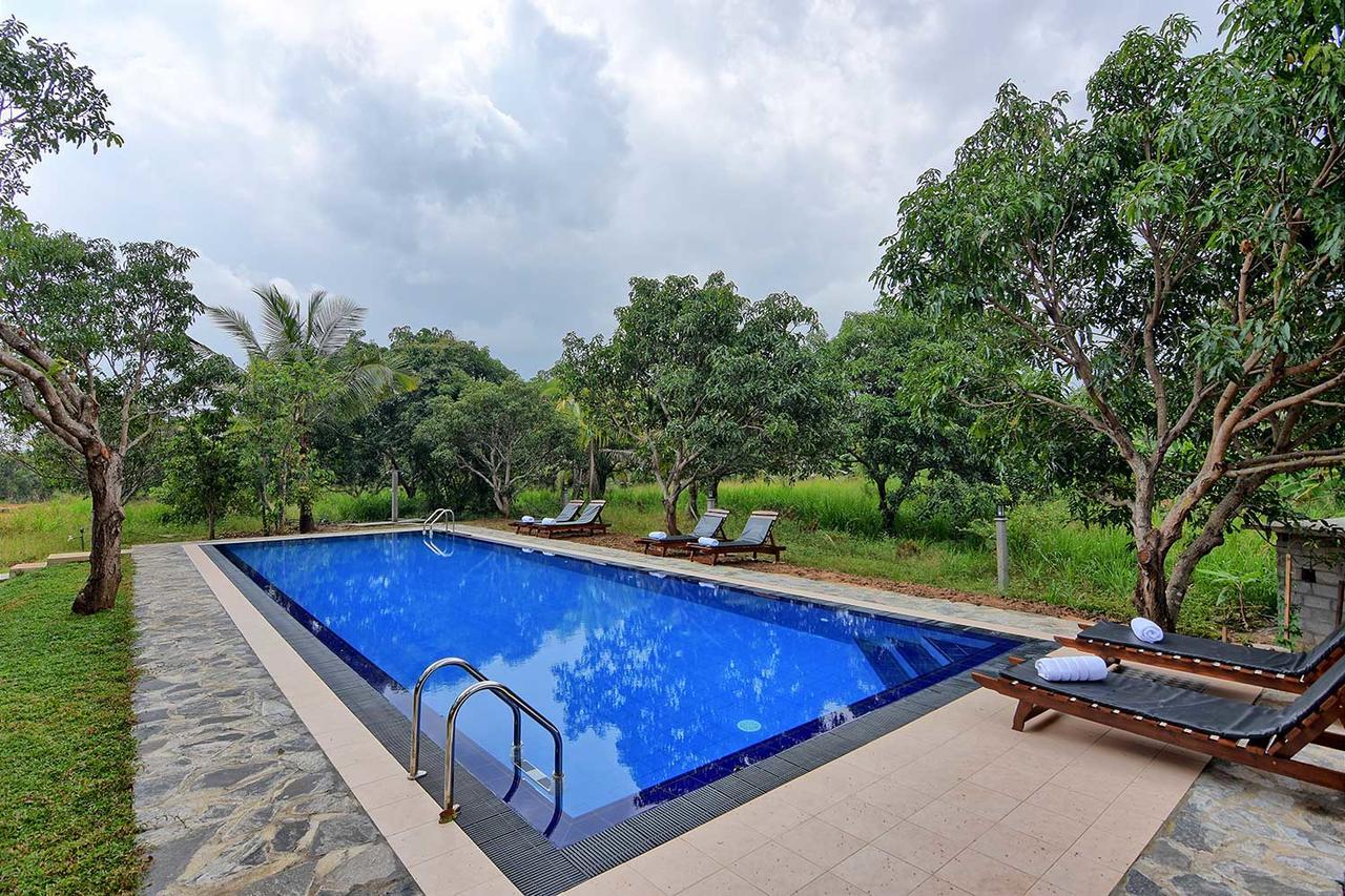 Dambulla Hills Resort Экстерьер фото