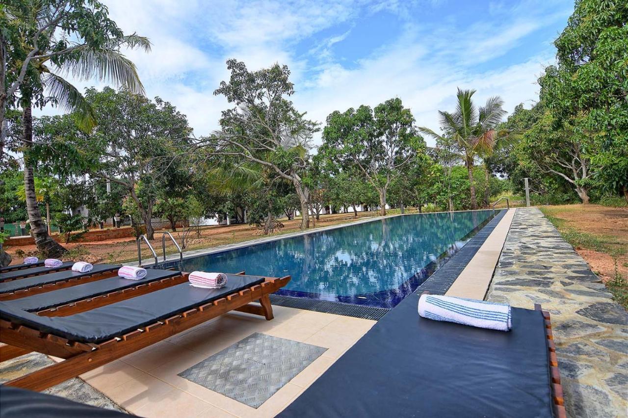 Dambulla Hills Resort Экстерьер фото
