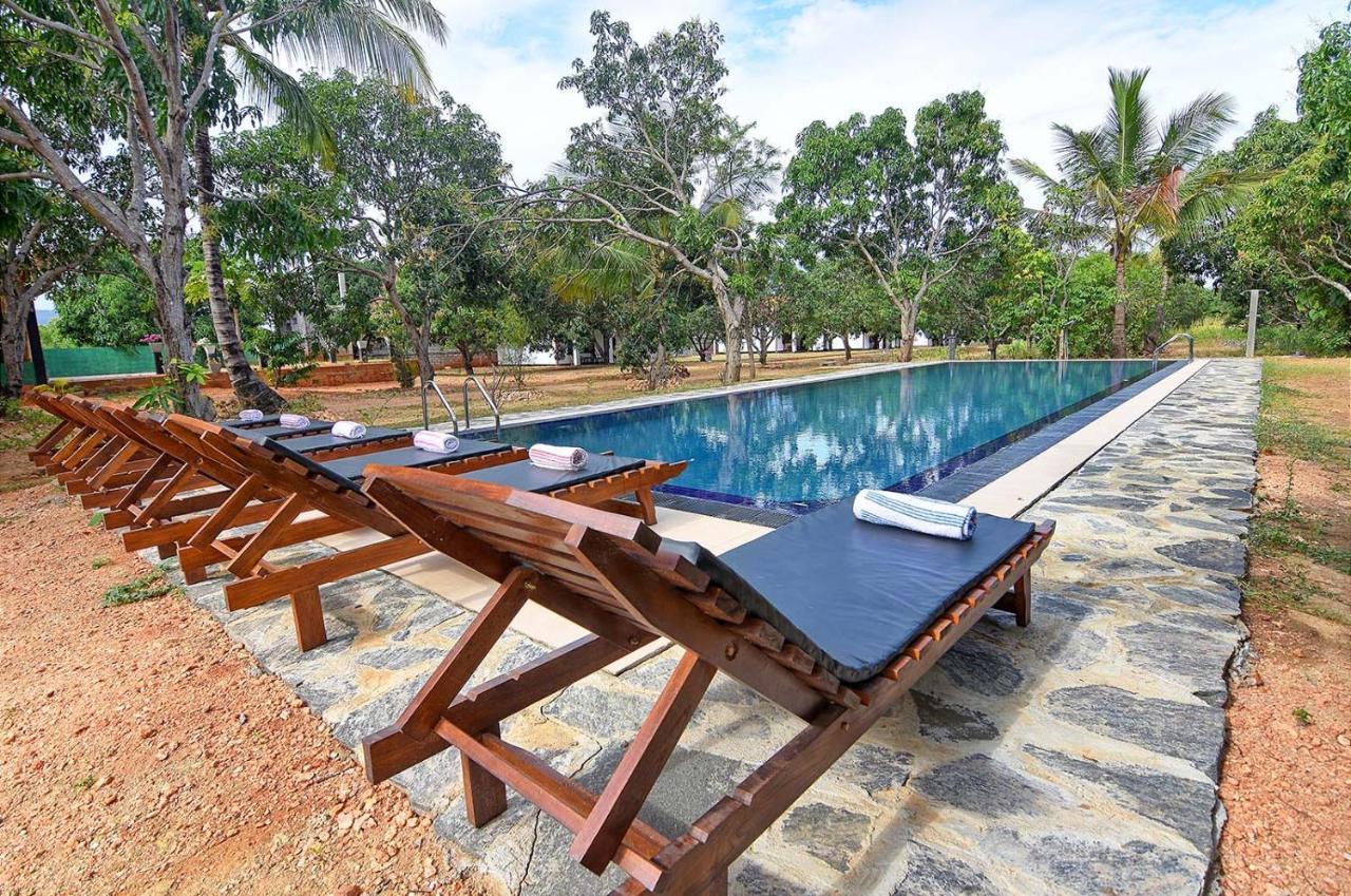Dambulla Hills Resort Экстерьер фото